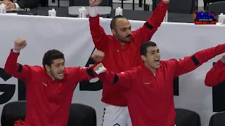 IHF Men's World Handball Ch. GER/DEN 2019 - PR 4th M GD. Hungary vs. Egypt